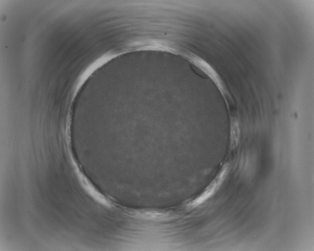 X0000084521149200702231128