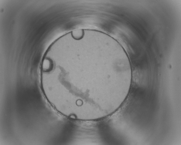 X0000084521150200702231128