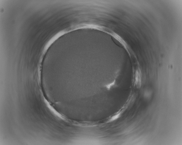 X0000084521151200702231128