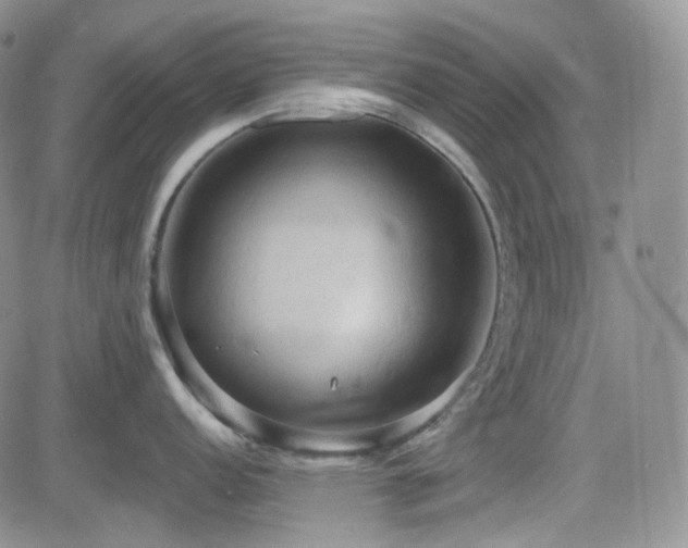 X0000084521152200702231128