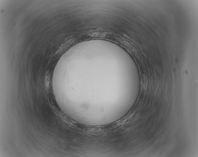 X0000084521154200702231127