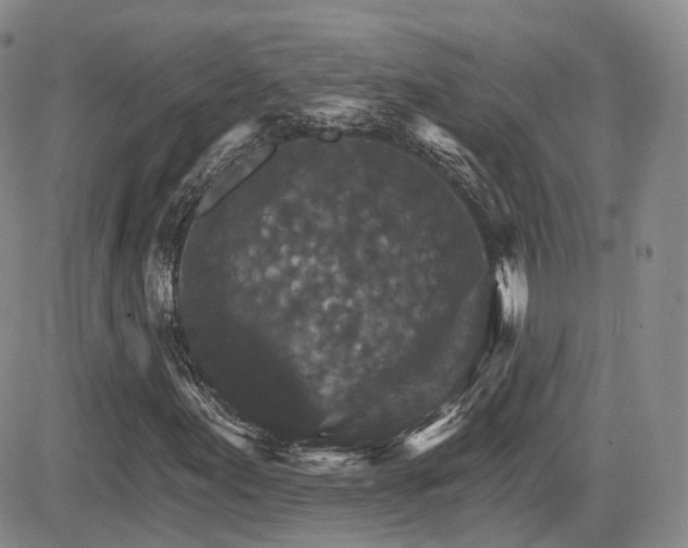 X0000084521155200702231127