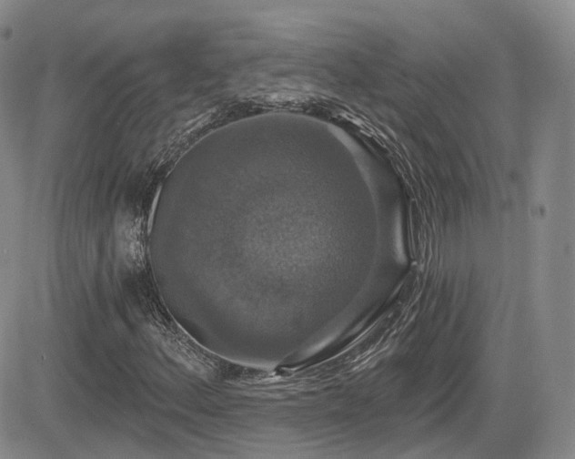 X0000084521156200702231127