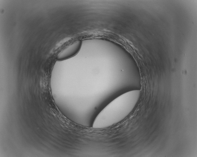 X0000084521158200702231127