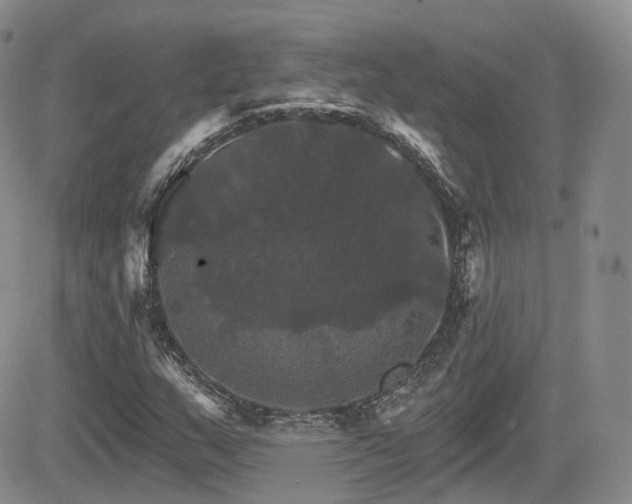 X0000084521159200702231127