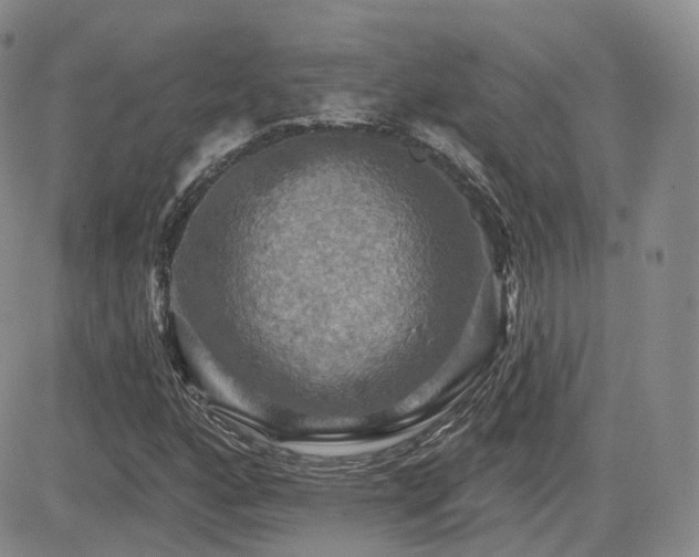 X0000084521160200702231127