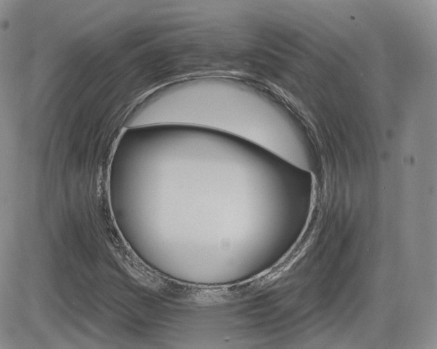 X0000084521161200702231127