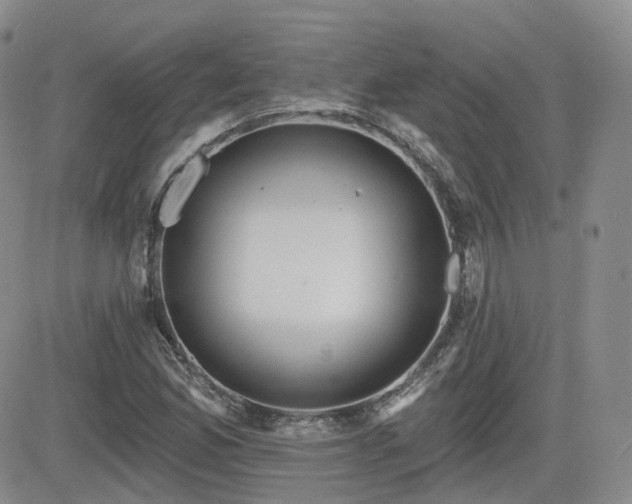 X0000084521165200702231127