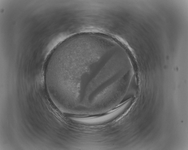 X0000084521167200702231127