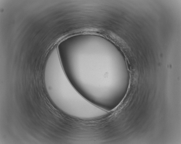 X0000084521169200702231127