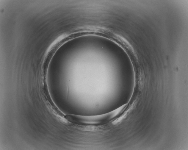 X0000084521172200702231127