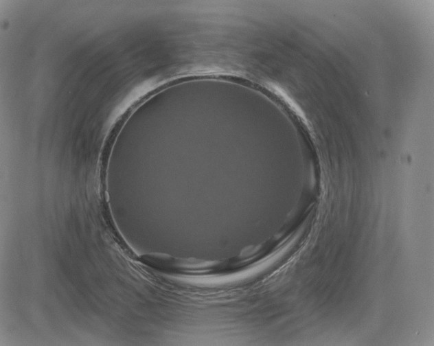 X0000084521173200702231127