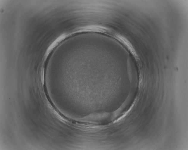 X0000084521180200702231127