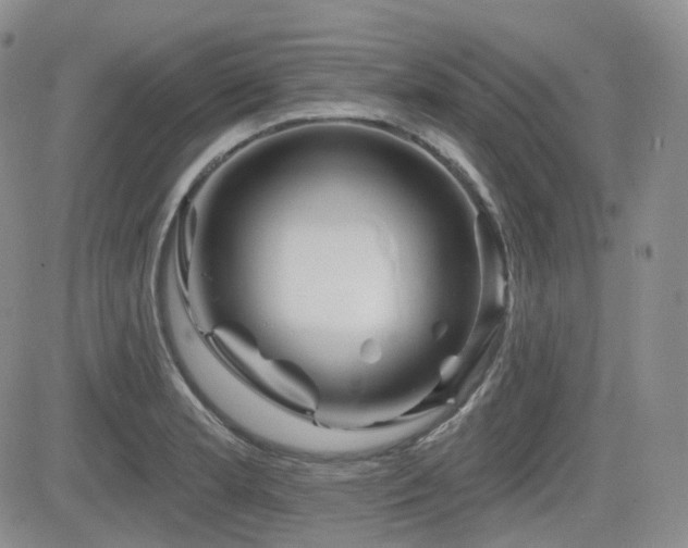 X0000084521181200702231127