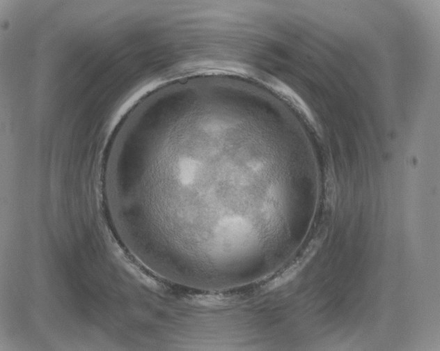 X0000084521182200702231127