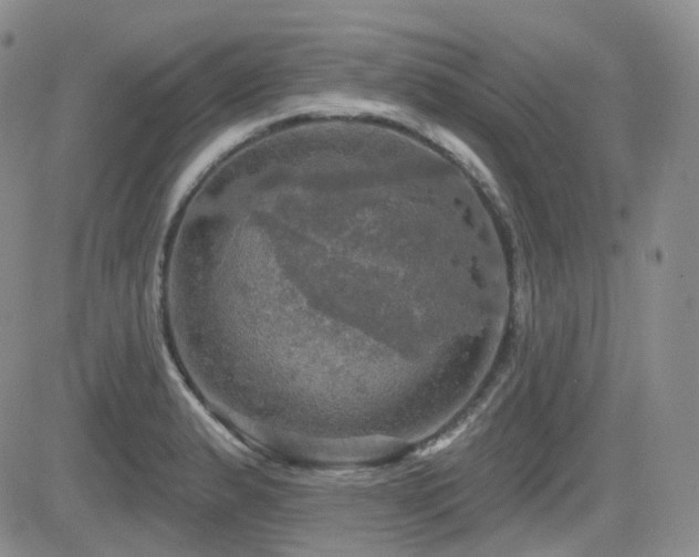 X0000084521183200702231127