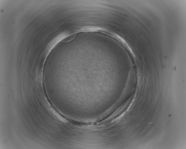 X0000084521186200702231127