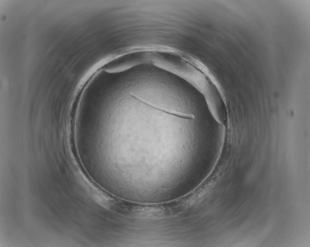 X0000084521187200702231127