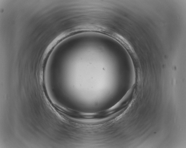 X0000084521188200702231127