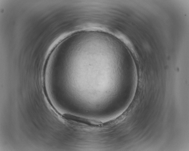 X0000084521191200702231127