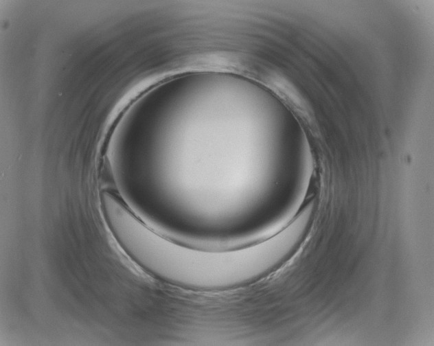 X0000084521192200702231126