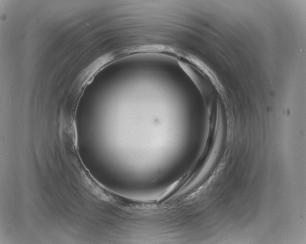 X0000084521193200702231126