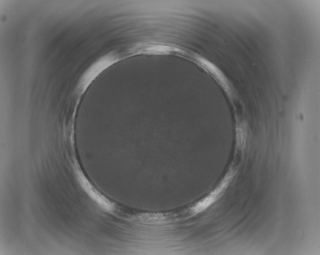 X0000084521194200702231126