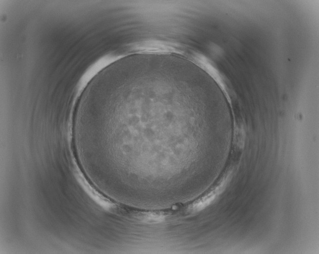 X0000084521195200702231126