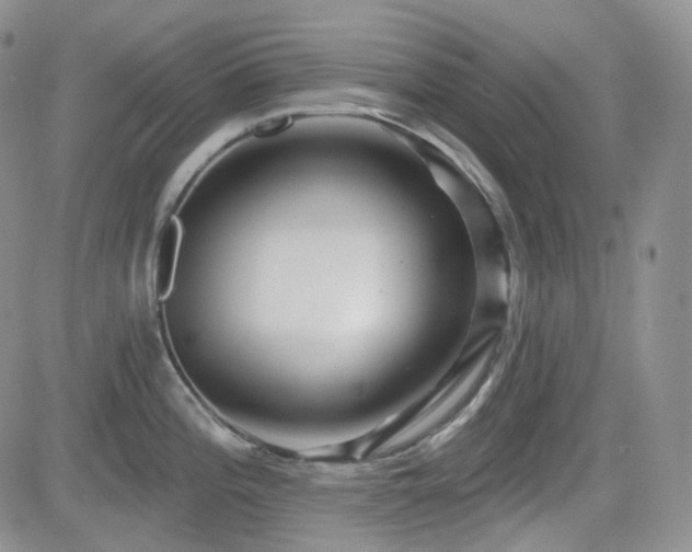 X0000084521196200702231126