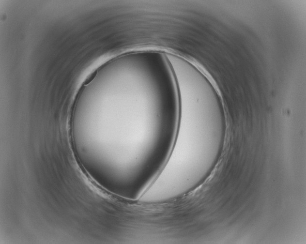 X0000084521197200702231126