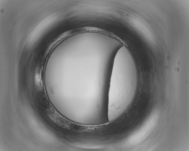 X0000084521198200702231126