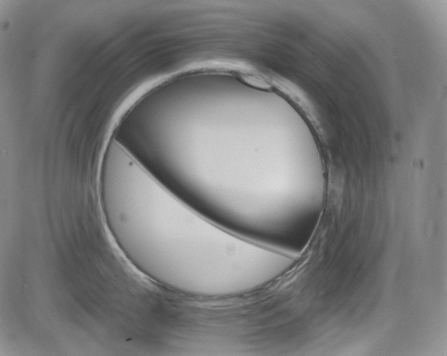 X0000084521199200702231126