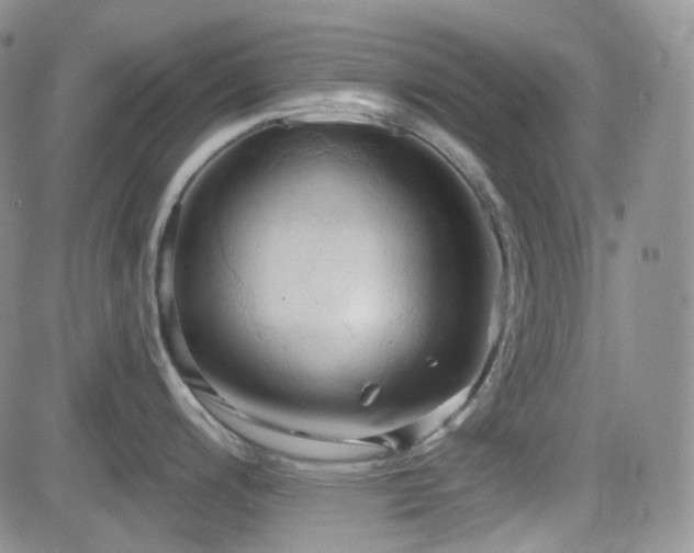 X0000084521200200702231126