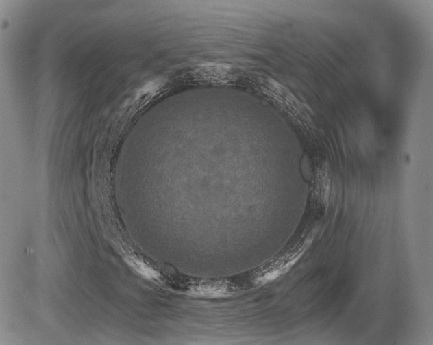 X0000084521201200702231126