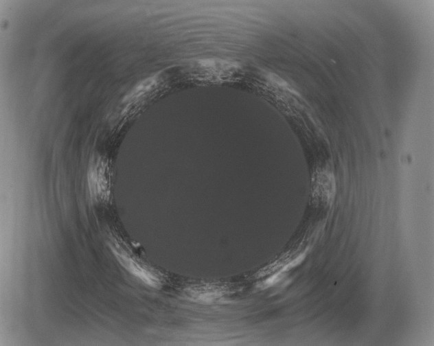 X0000084521202200702231126