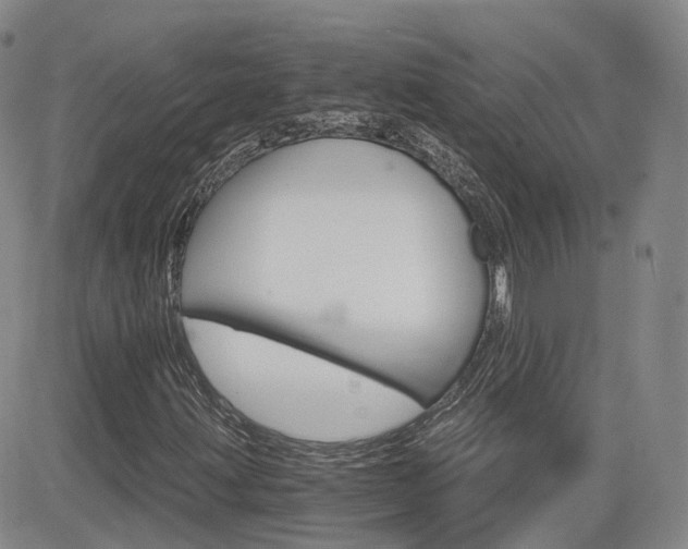 X0000084521203200702231126