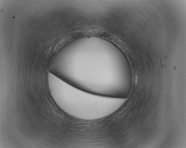 X0000084521204200702231126