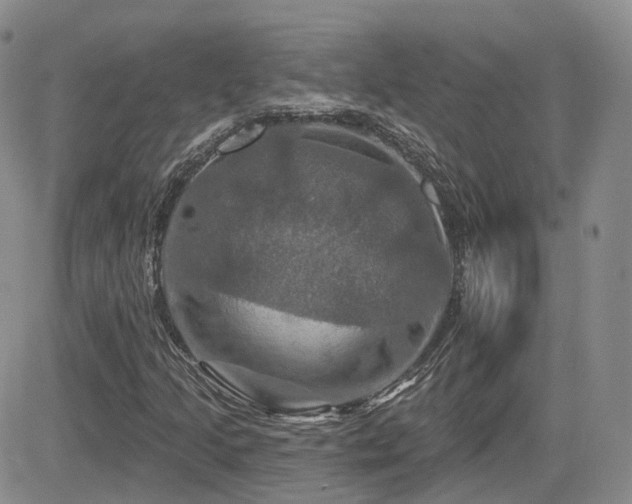 X0000084521205200702231126