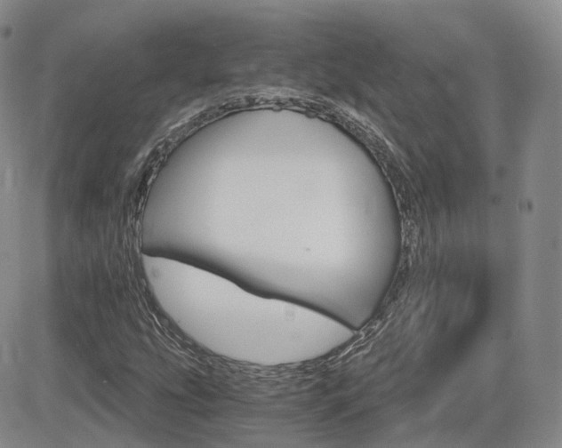 X0000084521207200702231126