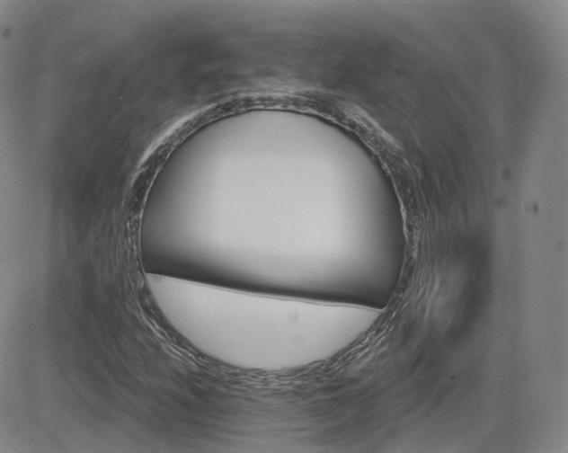 X0000084521208200702231126