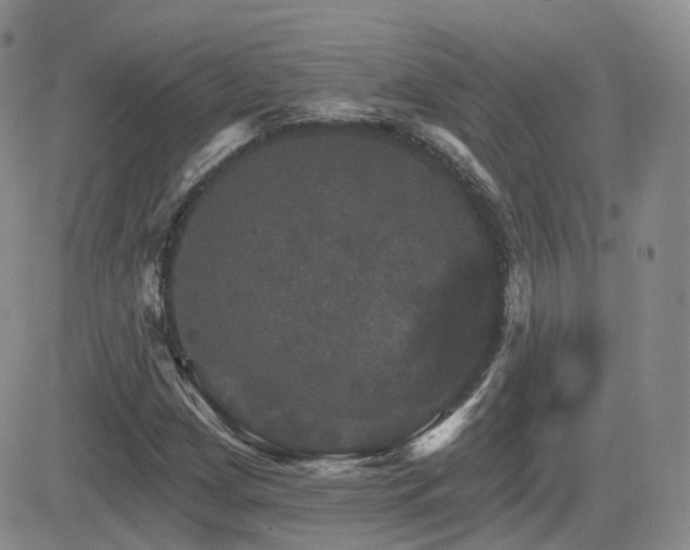 X0000084521209200702231126