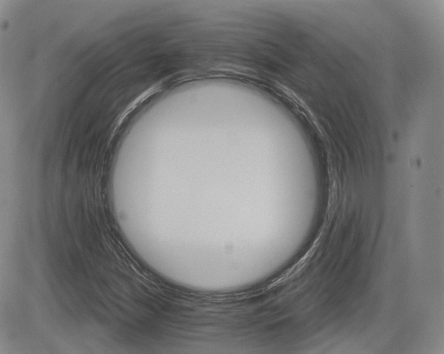 X0000084521210200702231126