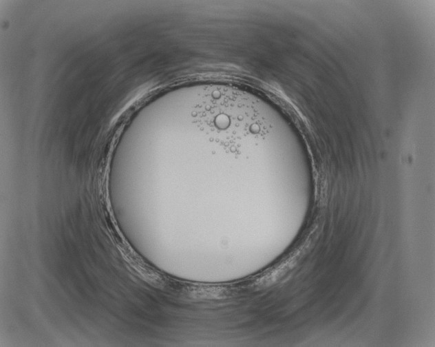 X0000084521211200702231126