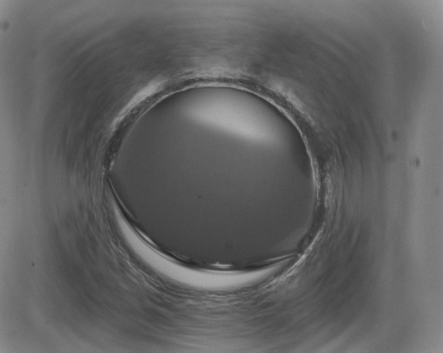 X0000084521213200702231126