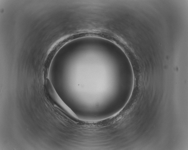 X0000084521214200702231126