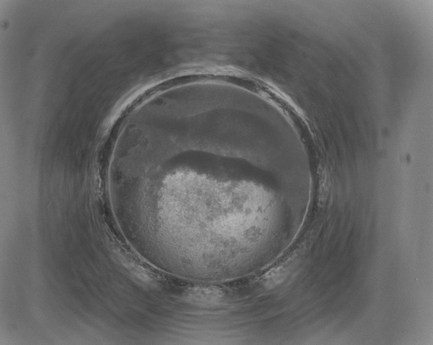 X0000084521215200702231126