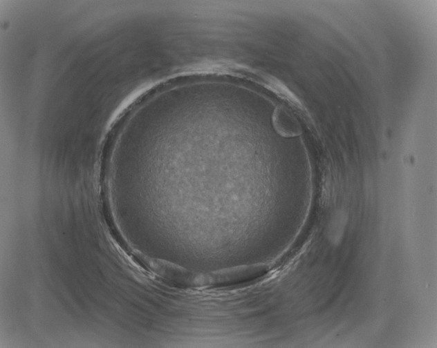 X0000084521216200702231126