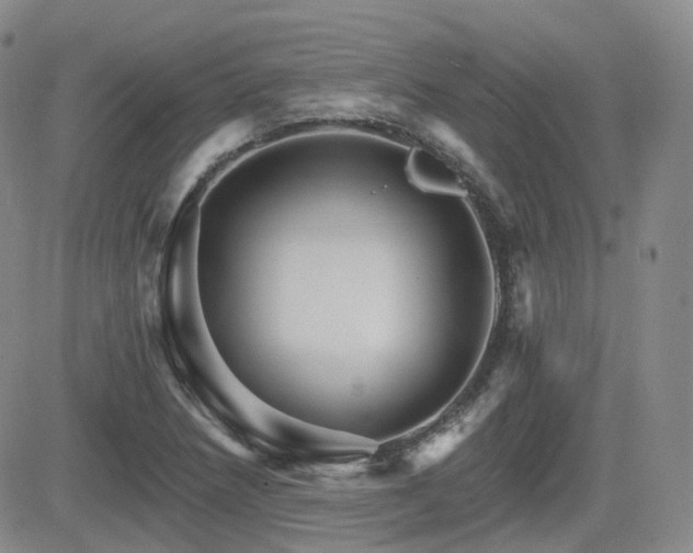 X0000084521218200702231126