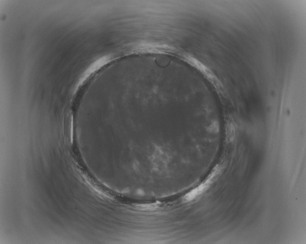 X0000084521219200702231126