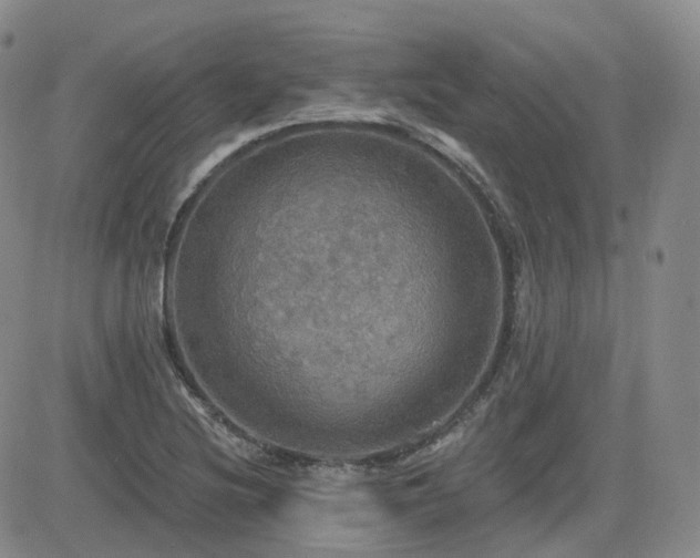 X0000084521220200702231126